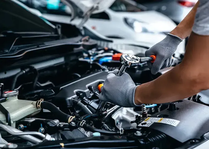 Garage mécanique à Scientrier